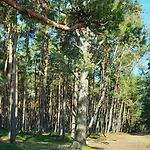 Caloroczny Domek Slowik L *