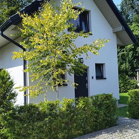 Caloroczny Slowik L * Kopalino